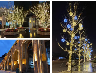 灯光租赁树子亮化安装树木亮化农家乐灯光